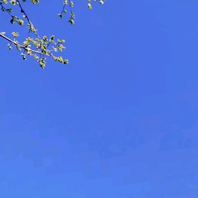 🍀元宝儿