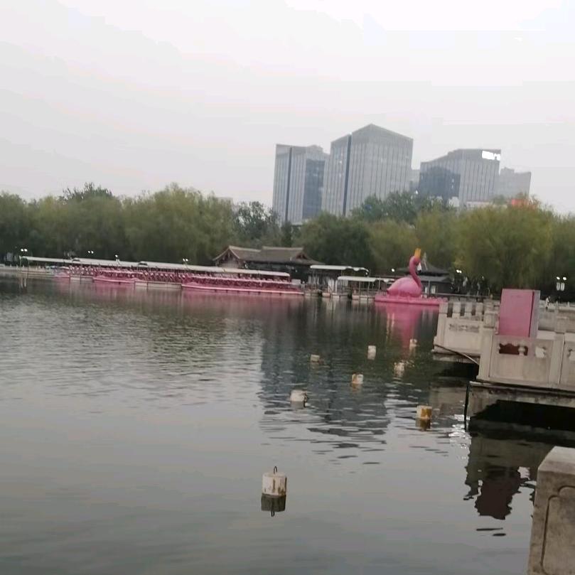 美得你