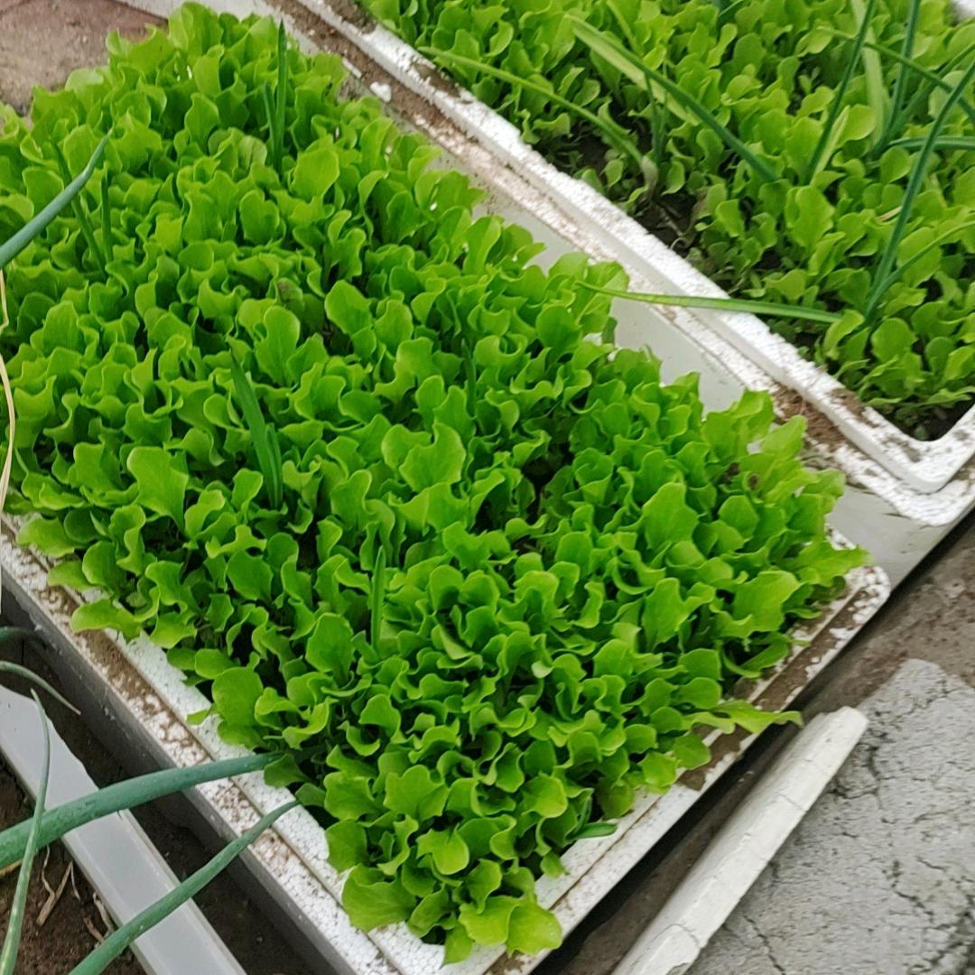 顺其自然…！！！