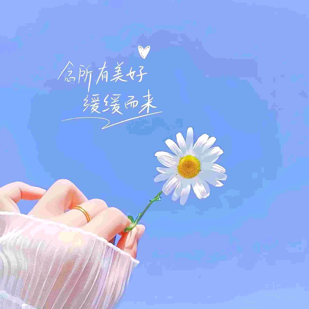 永不言弃！