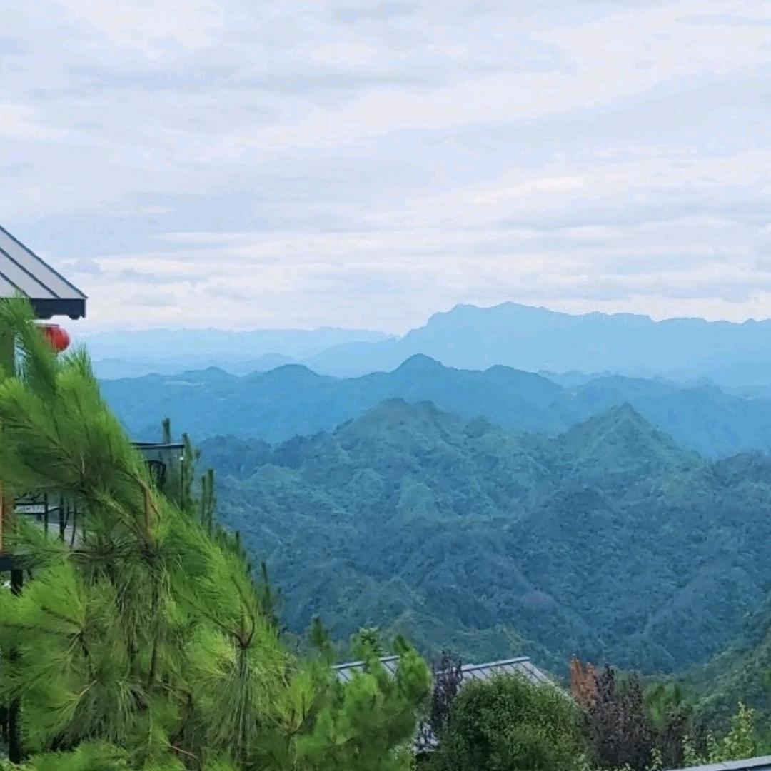 湘灵哥哥🌿