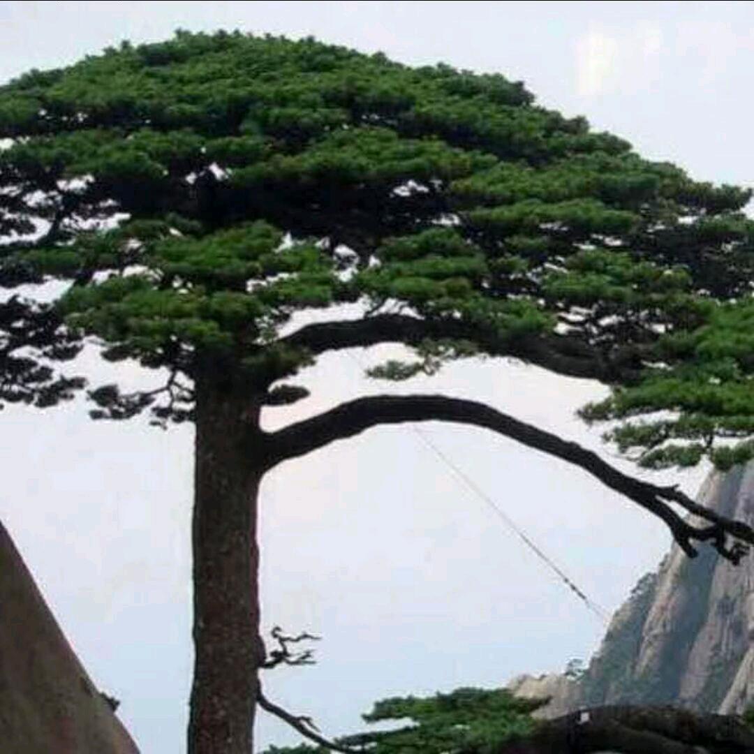 追梦