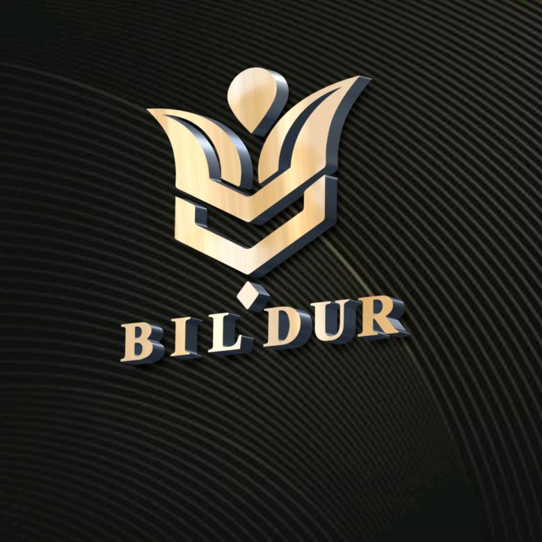Bildur语录