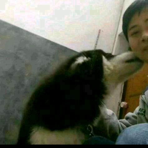 冬