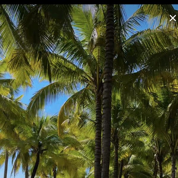 好👌👌👌👌👌👌👌👌👌?