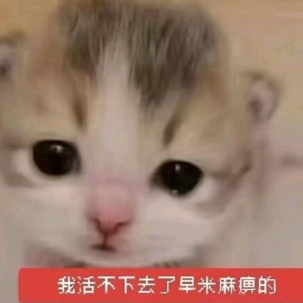 idyy（求推荐版