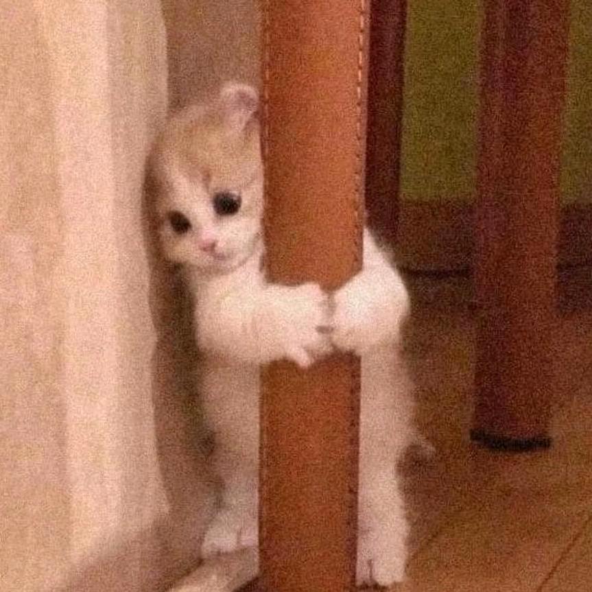泱泱