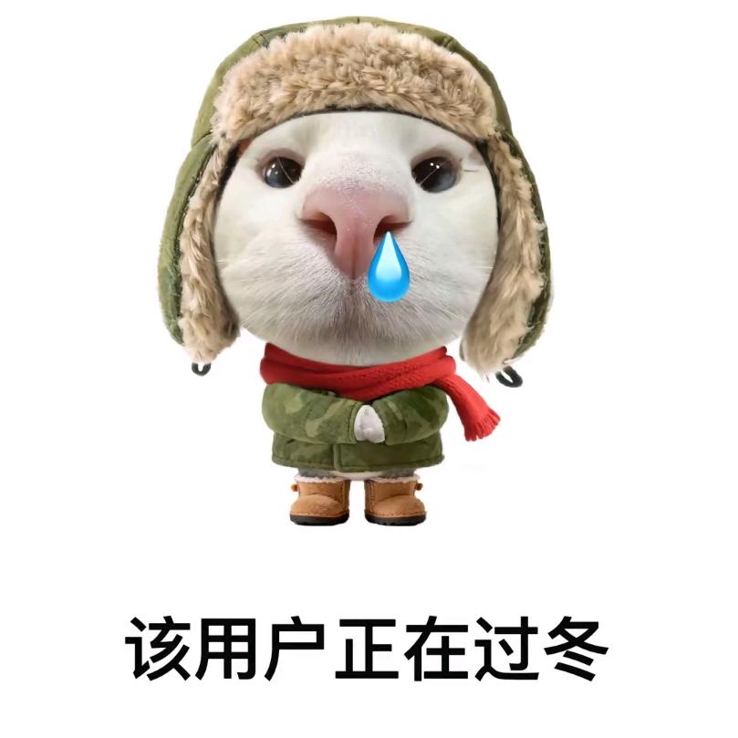 基尔加丹·心（不吃牛肉版）