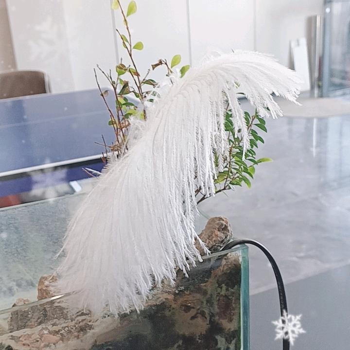 阳城金巢木饰面工厂工地直播