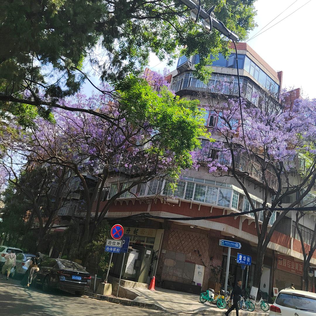怡然自乐