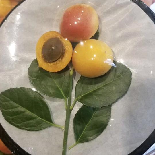 水果好甜