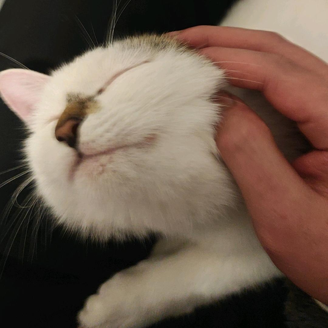 酱油的飘过