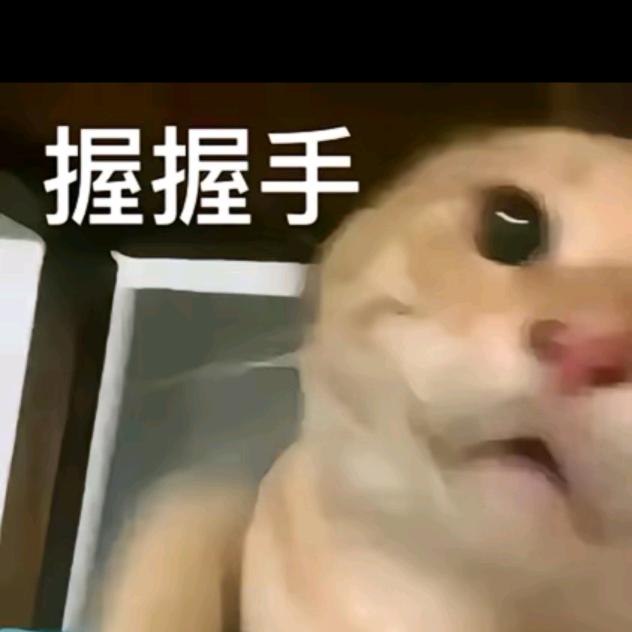 豪耄