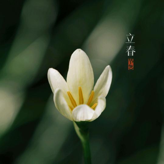 浪漫天涯