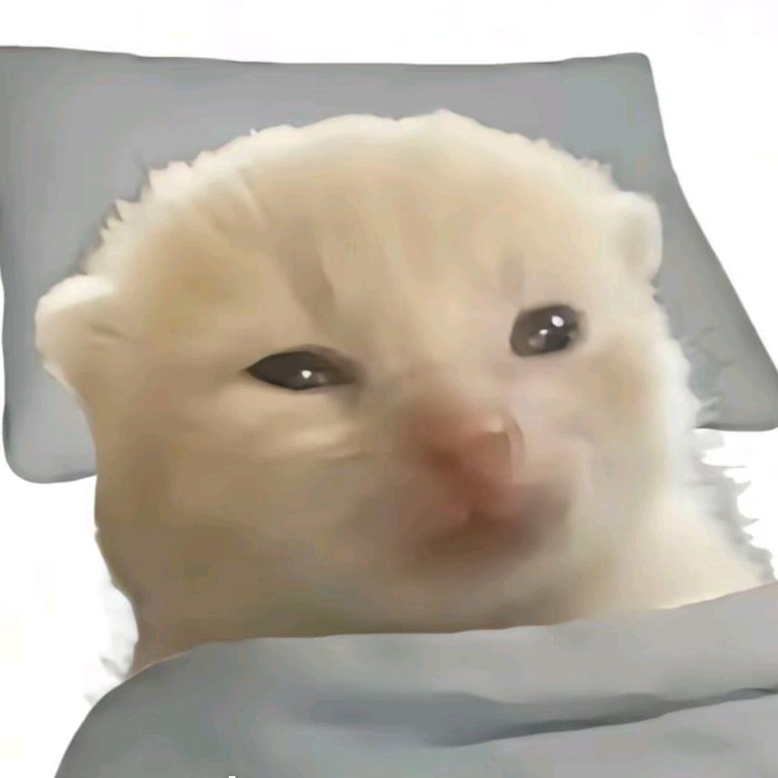 筱筱