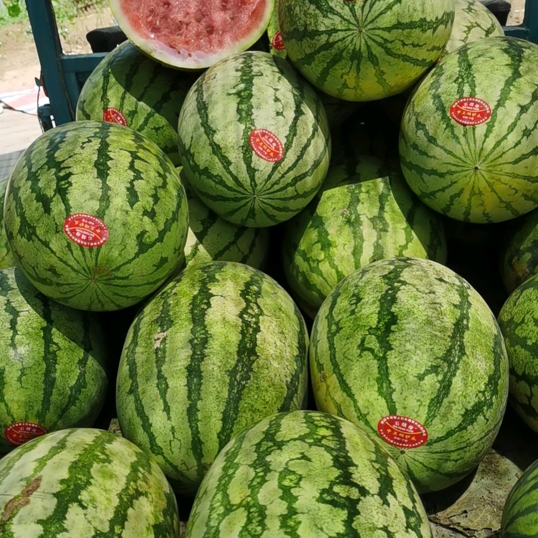 一切从零，开始