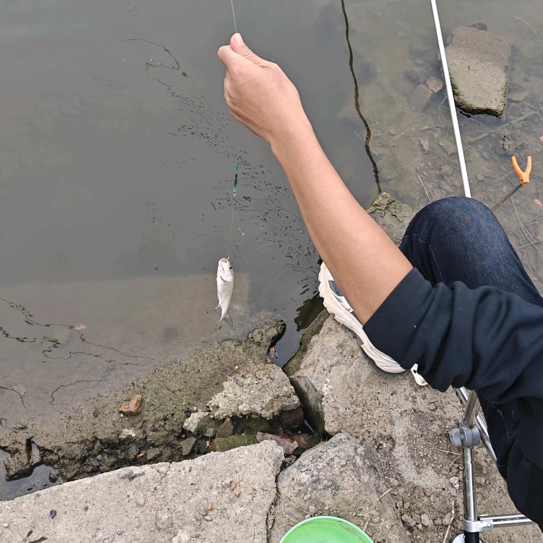 钓鱼佬配件甄选屋