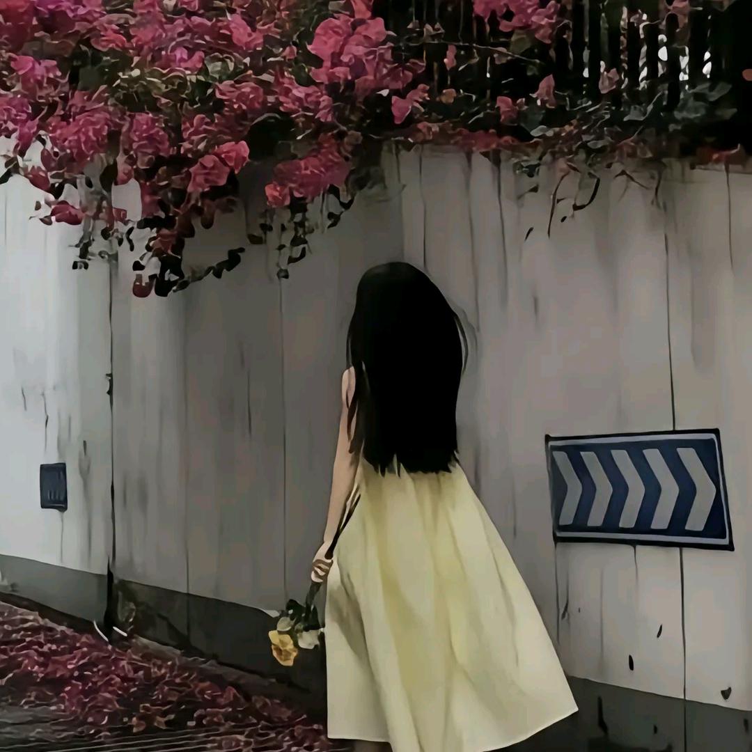 猫咪服饰