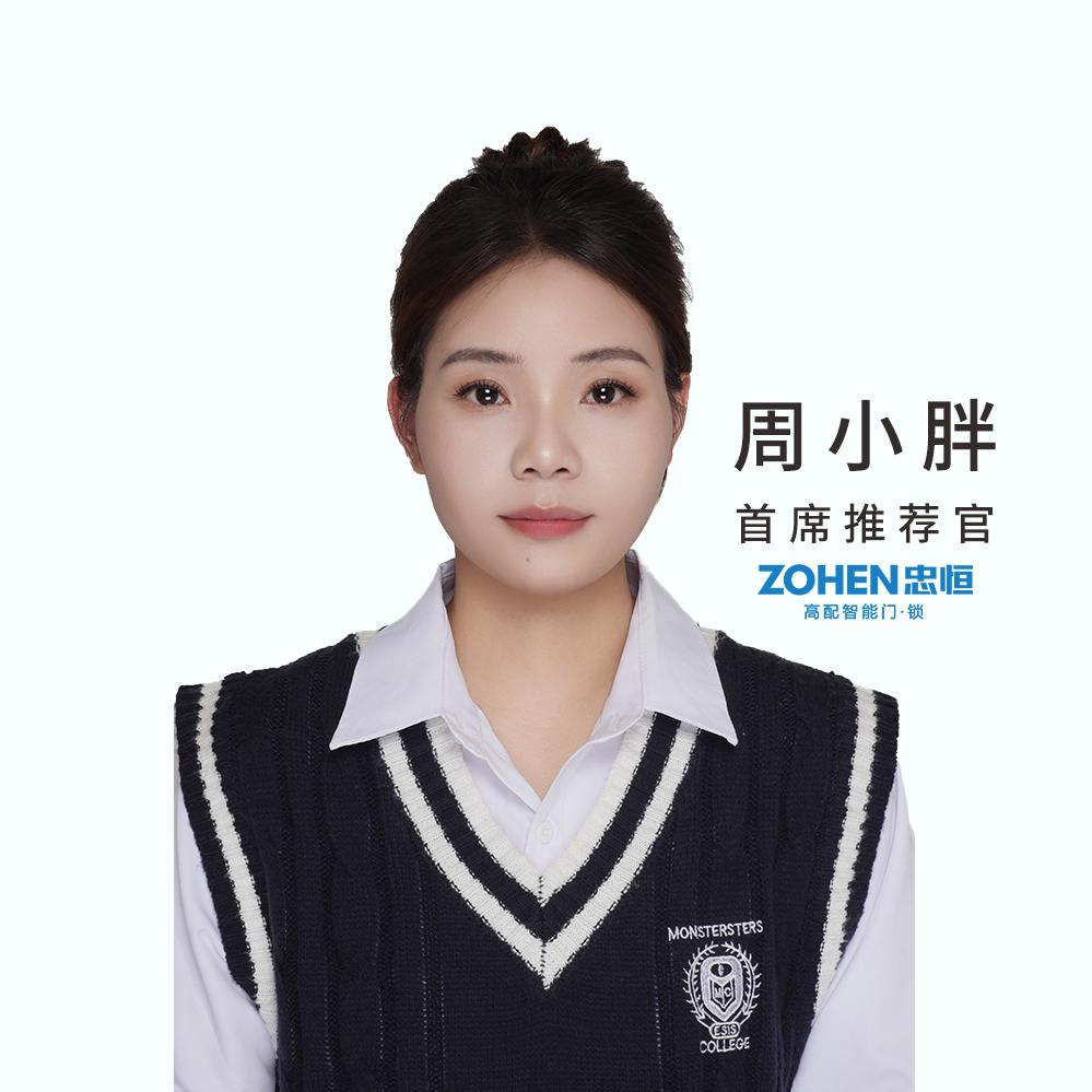 忠恒门锁 小胖