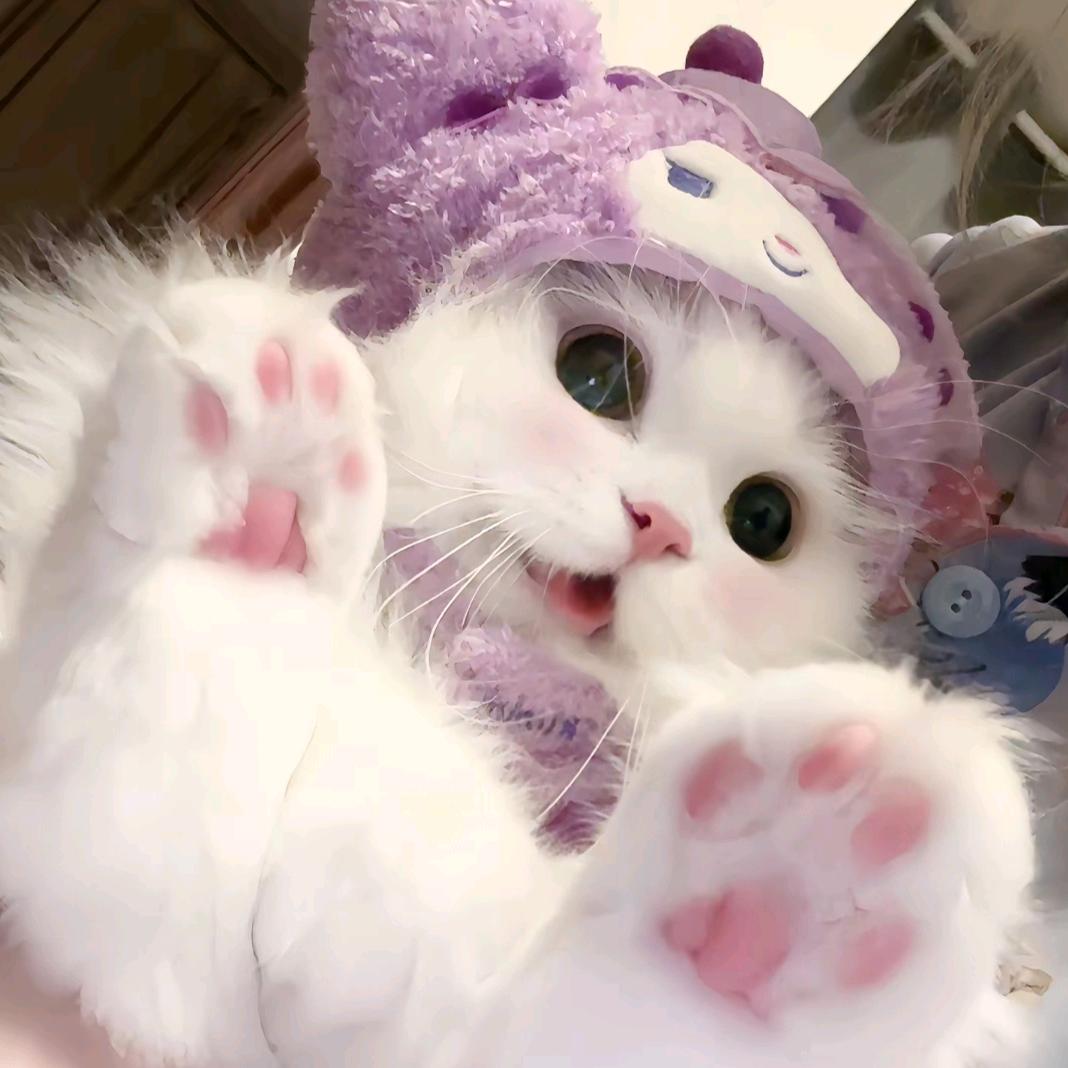 安安～