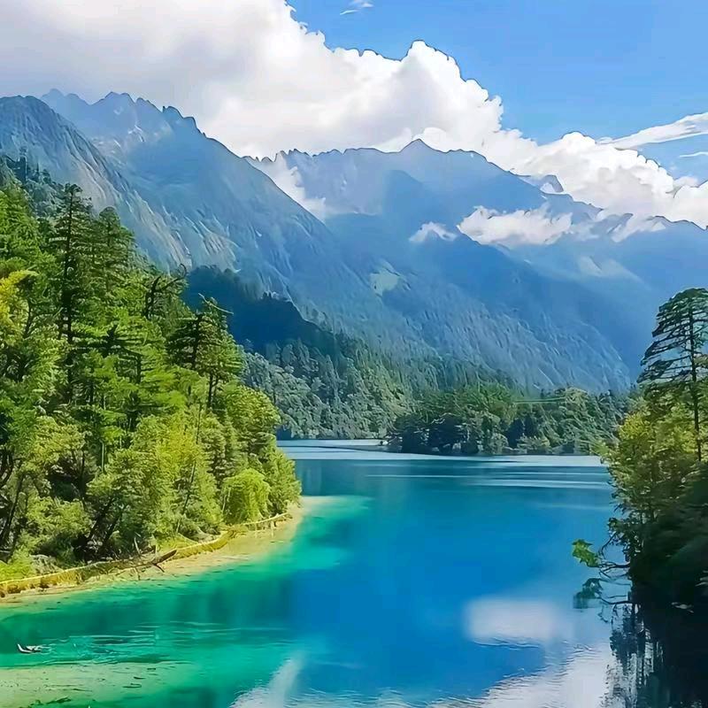 云水禅心