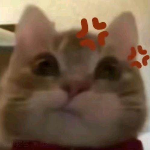 哇！……