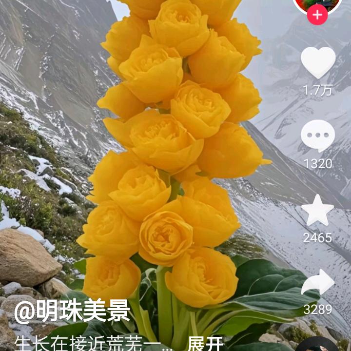 纯洁