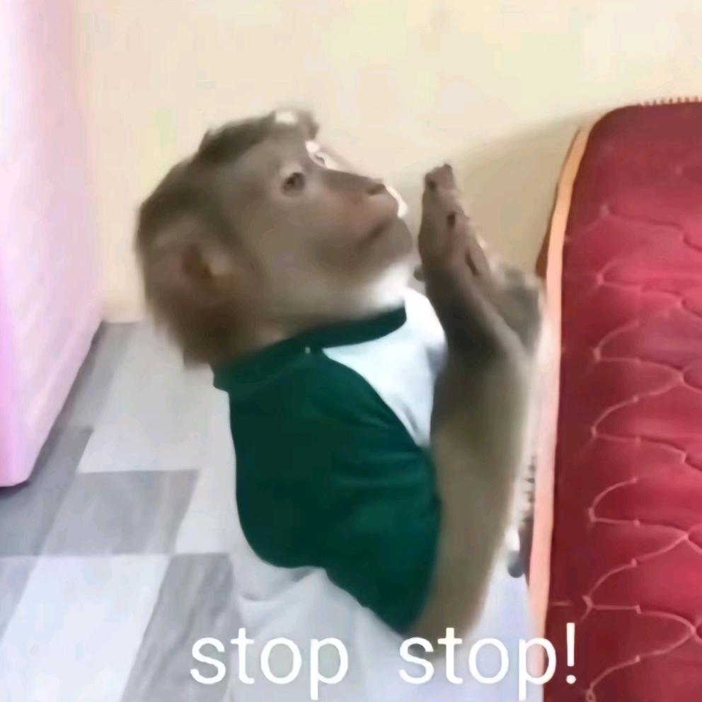 用户你好