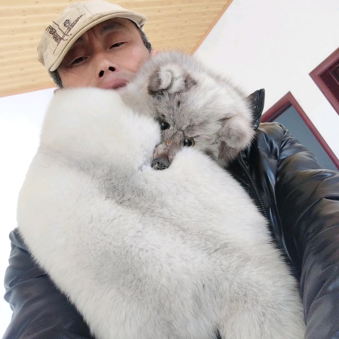 摇钱树...❤🌹