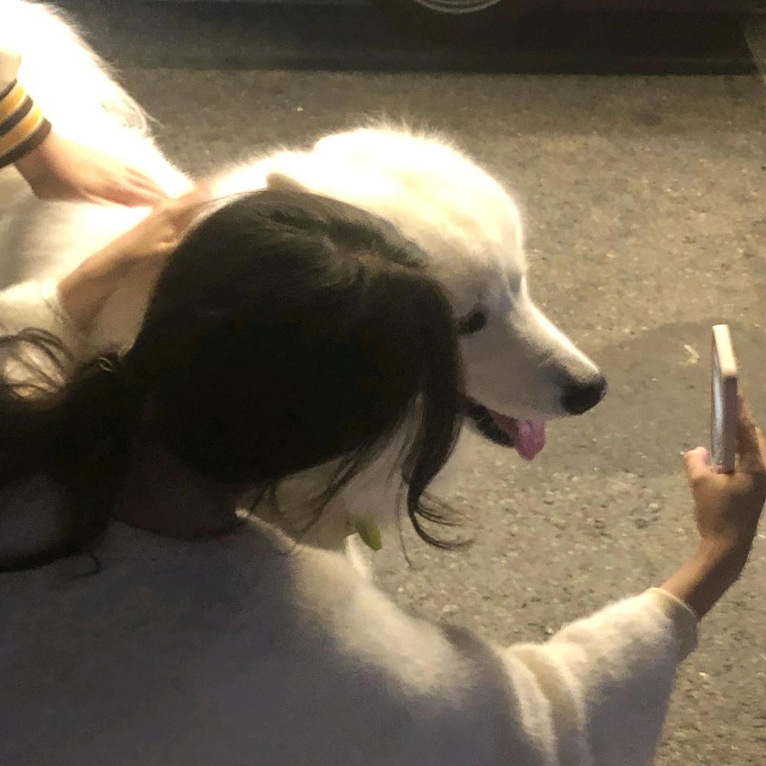 小鱼小鱼