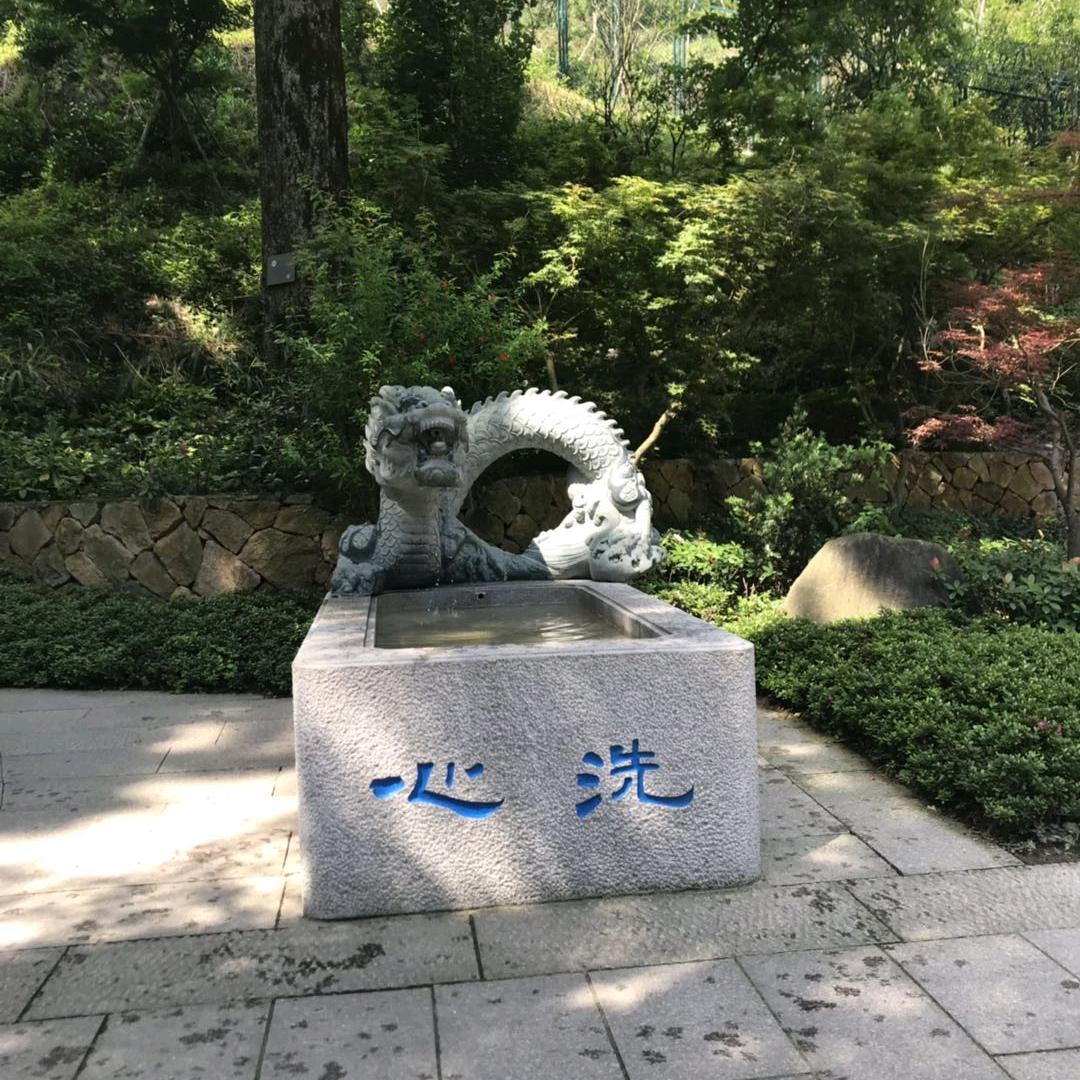 余生随心