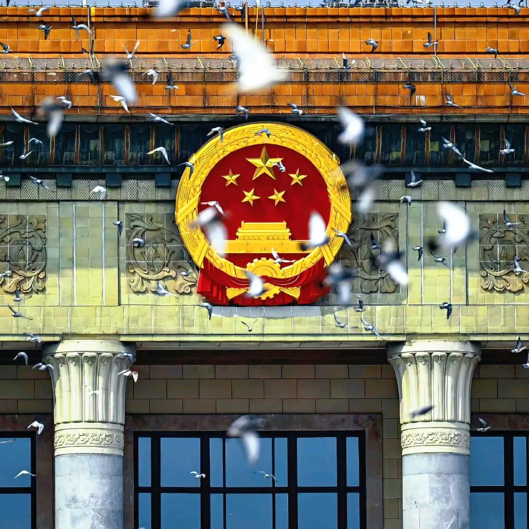 小赛.