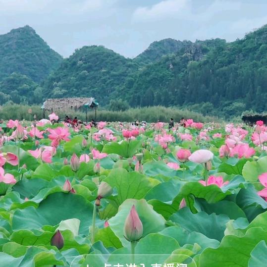 滇益堂食品源头工厂店