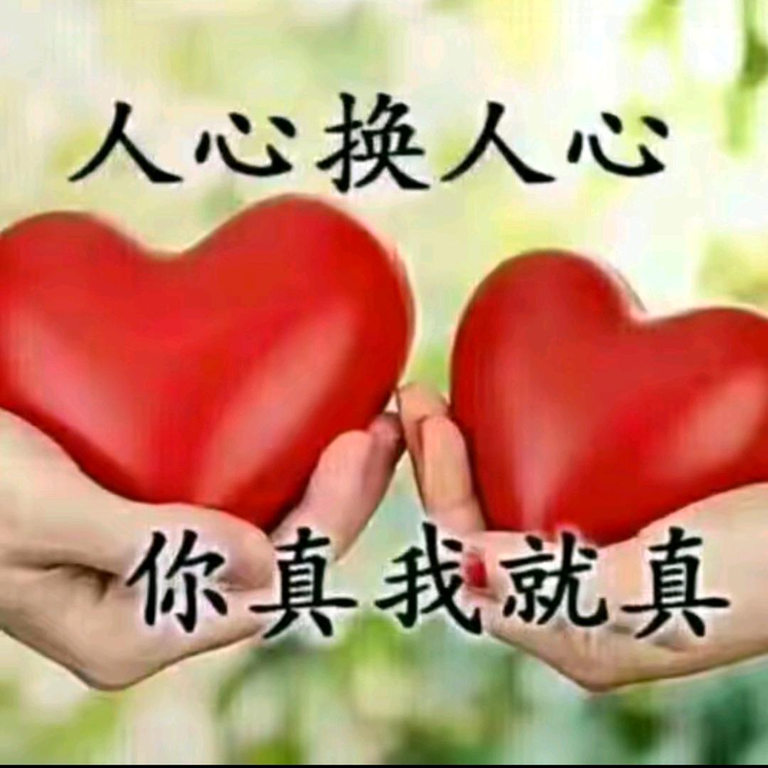 🌹一🌹生🌹陪🌹着🌹你🌹