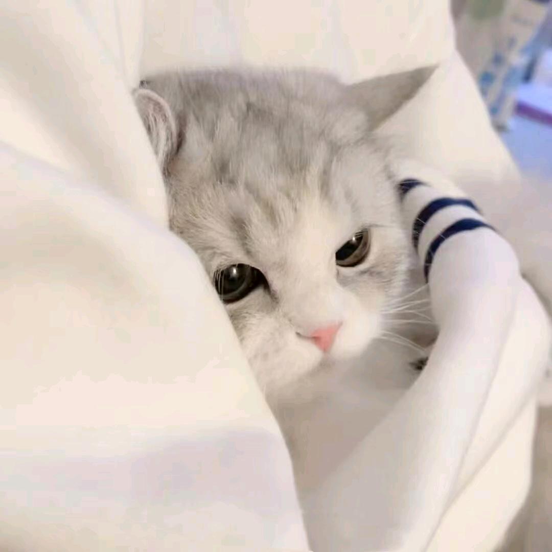 @ৡৢسھ◌ৢ群群س