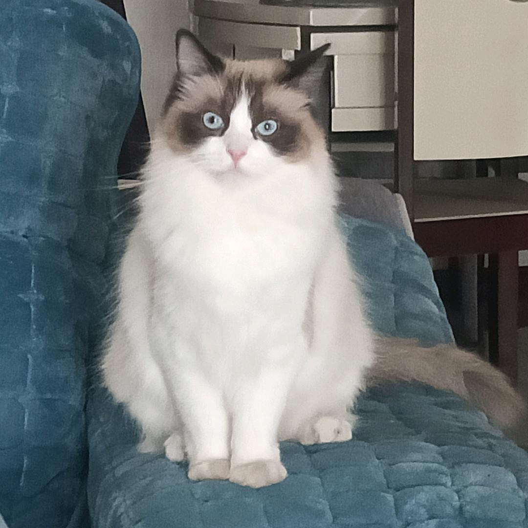 终将错付（连赞拉黑）