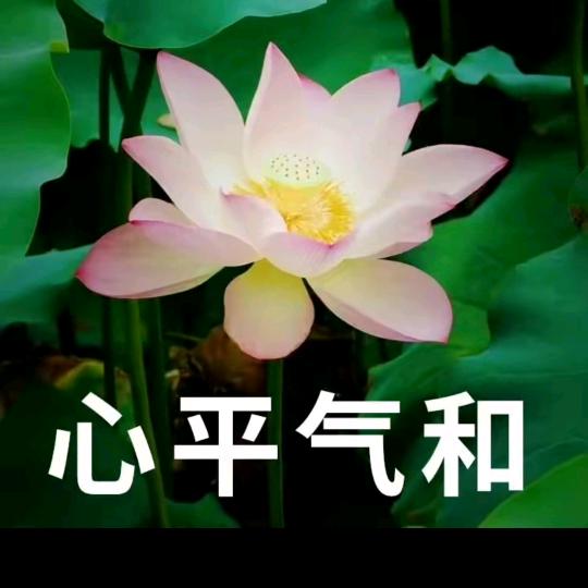 🌈抖团团解bro（抖团团）