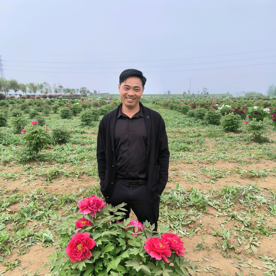 穆少的脾气不好惹