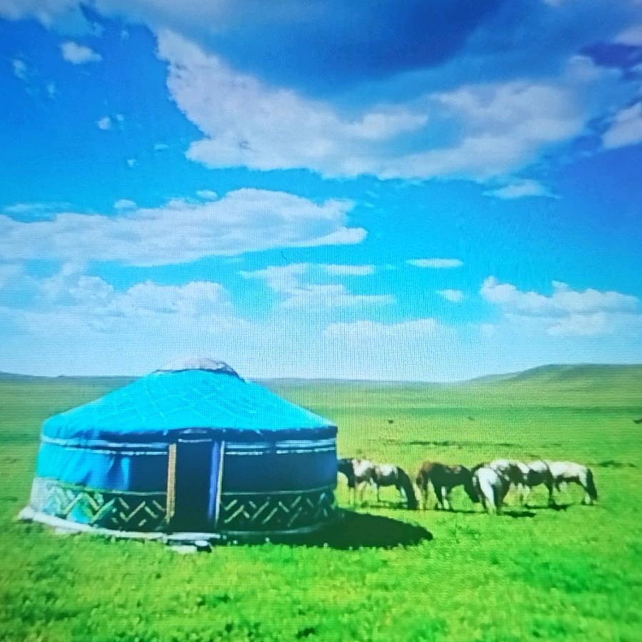 蒙哥草原牛羊肉