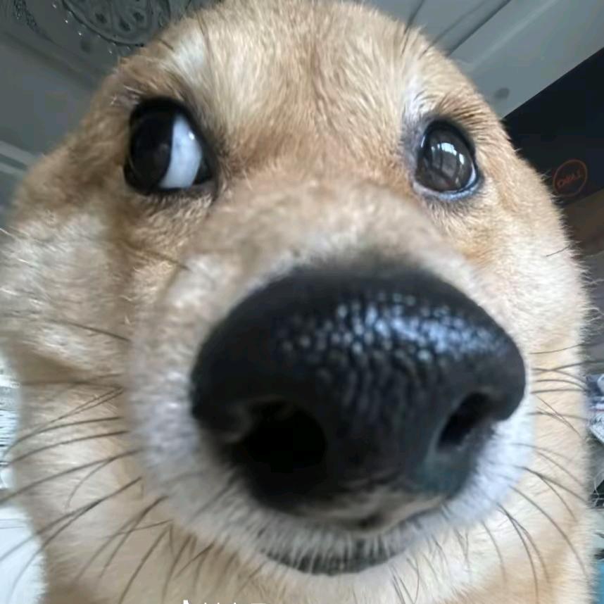 本世纪做伟大的抽象家