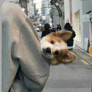 守身如玉，不乱看腿