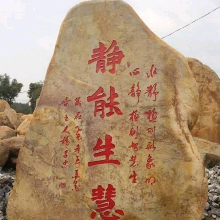 朱朱姐