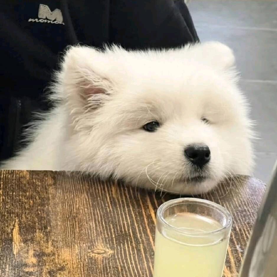 钟\