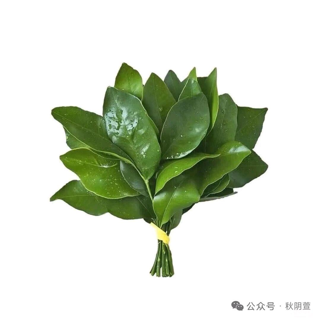 秀豆别逗吖