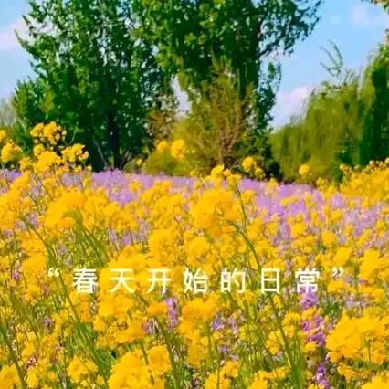 @梁芳