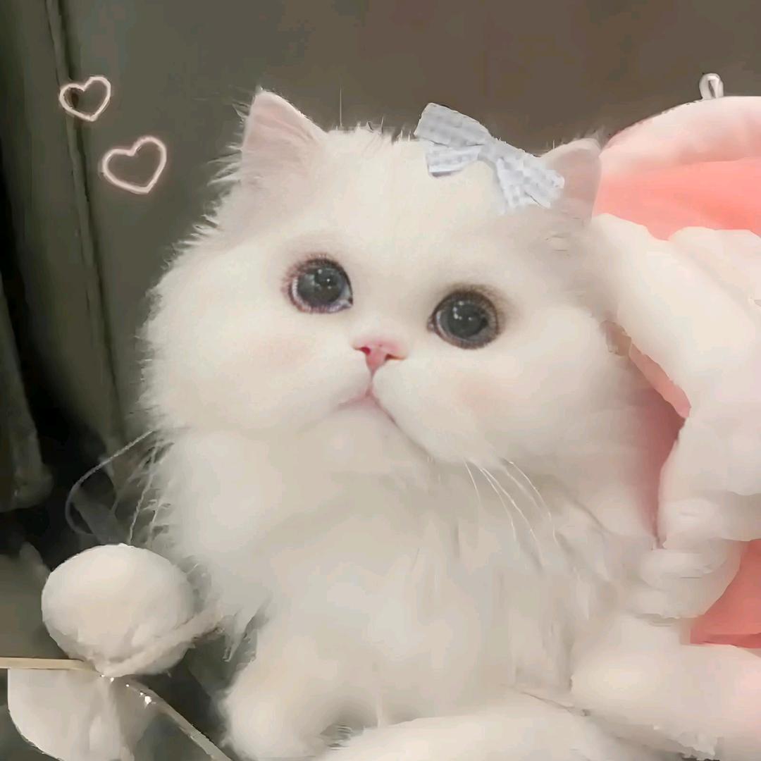 一抹༺浅̶念༉ྃྃ