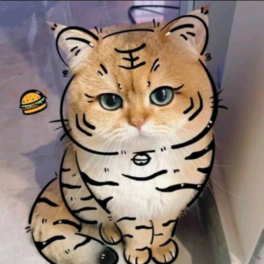 猫咪在游泳