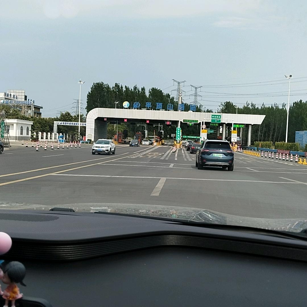 栀子树下的等待