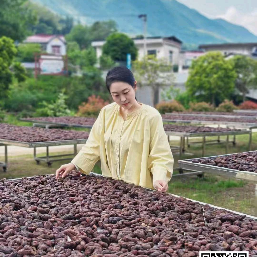 竟空.禅养食道