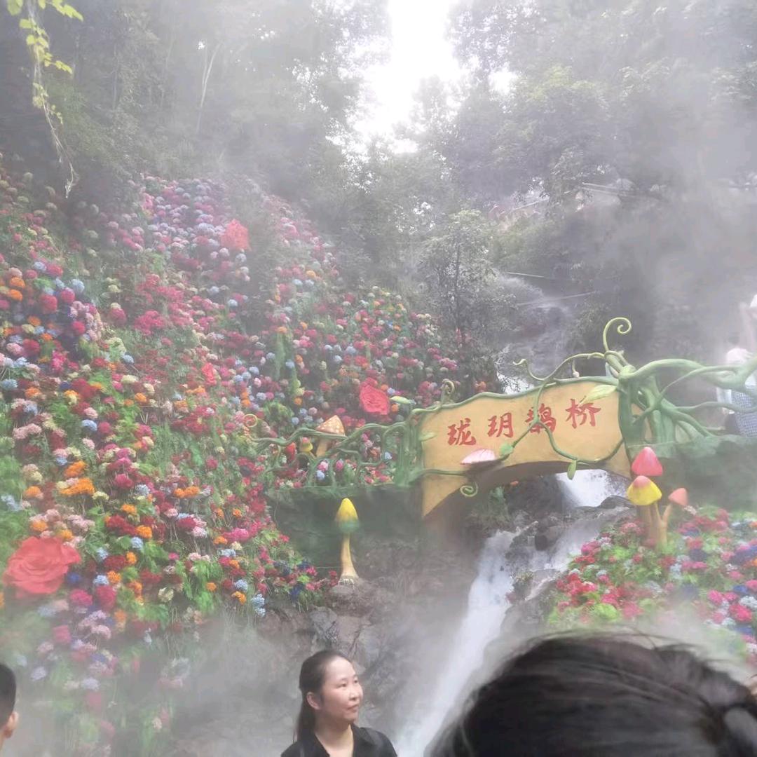 💐💐释然🌺🌺